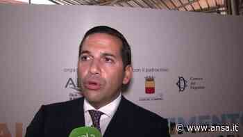 Sud: Grimaldi: "Hub intermodale strategico per Paese" - Campania - Agenzia ANSA