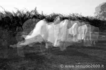 Soliera: Out-SIDE, una performance ispirata alle foto di Francesca Woodman, martedì e mercoledì a Castello Campori - sassuolo2000.it - SASSUOLO NOTIZIE - SASSUOLO 2000