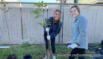 Blooming Houston group shatters record for most trees planted across city in a single year - CultureMap Houston