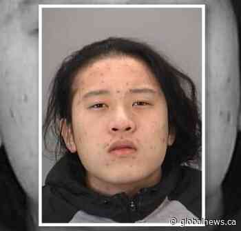 Hamilton police identify suspect in daylight shooting - Global News