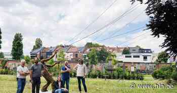 De Vliegeraar krijgt vaste plek in Stadsbegraafplaats | Leuven | hln.be - Het Laatste Nieuws