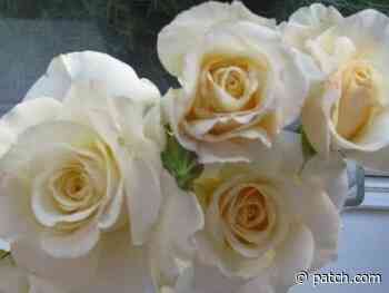 San Bruno Resident Listed Among SMC Death Notices June 28 - July 4 - Patch