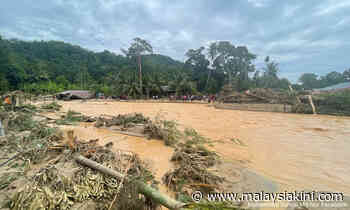 Forest clearing at catchment areas led to Baling floods - activists - Malaysiakini