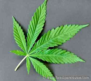 Forest Park gets cannabis craft grower, could get dispensary - Forest Park Review