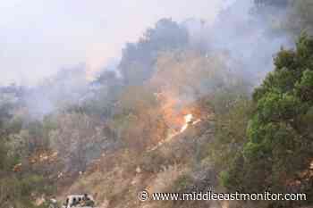 Massive fire destroying iconic Gaacidh forest in Somalia - Middle East Monitor