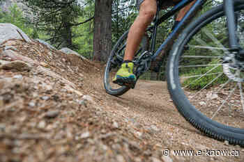 COTR's Community Forest project complete | Cranbrook, East Kootenay - E-Know.ca