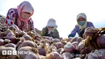 Chinese property developers accept farm produce for homes