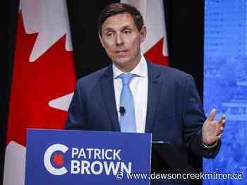 Conservative party disqualifies candidate Patrick Brown from leadership race - Dawson Creek Mirror