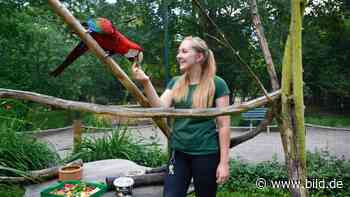 Tierpark Eilenburg: Sie ist Deutschlands jüngste Zoochefin (23) | Regional - BILD