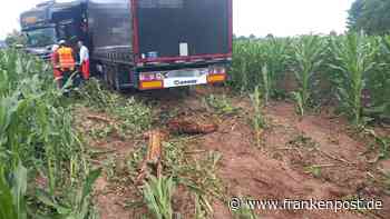 Festgefahren - Mit zwei Promille ins Maisfeld - Frankenpost