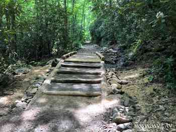Big Creek Trail reopens after 8-week closure - WVLT