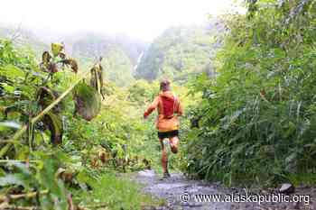 Gov. Dunleavy vetoes $10.5M in funds for Alaska Long Trail project - Alaska Public Media News