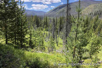 Volunteers needed for Manning Park trail race – Hope Standard - Hope Standard