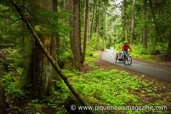 Here's how you can help protect Whistler's Valley Trail - Pique Newsmagazine