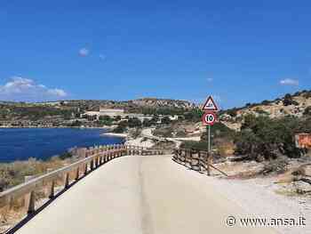 Migliora la vivibilità a Cagliari, una città più green - Agenzia ANSA