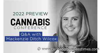 How to Create a Winning Cannabis License Application: Q&A With Mackenzie Ditch Wilcox - Cannabis Business Times