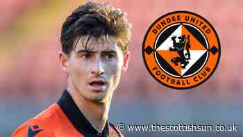 Ian Harkes has NOT penned a new Dundee United contract despite Tannadice club announcing new deal... - The Scottish Sun