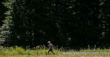 Grey Rock trail runs returning to Ahtanum State Forest - Yakima Herald-Republic