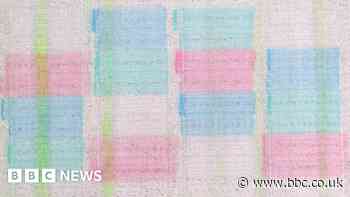 Beet farm near Wymondham in colour-based aphid pest trial