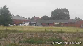 Grootste drugslabo Lendelede: na twee jaar nieuwe arrestatie - Focus en WTV