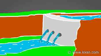 Could animal waste power your home? A closer look at renewable energy