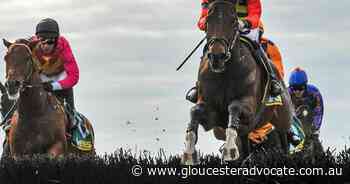 SA set to ban jumps racing - Gloucester Advocate