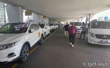 Sciopero taxi: presidio in aeroporto Cagliari, poi corteo - Sky Tg24