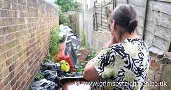 Woman's anger as littered alleyway brings rats into childhood home - Grimsby Live