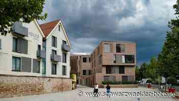 Debatte im Gemeinderat: Orchideen als Maßnahme für den Klimaschutz in Nagold?