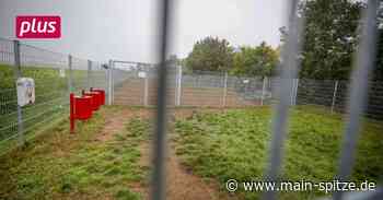 Vorschau zur Sitzungsrunde in Bischofsheim - Main-Spitze