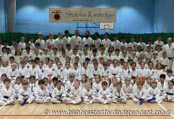 Shotokan Karate Ryu students wow panel at coloured belt grading - Bishop's Stortford Independent
