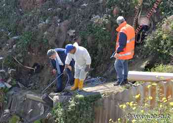 Reati ambientali, protocollo Procure Benevento e Avellino - Ambiente & Territorio - Agenzia ANSA