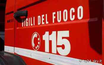 Benevento, appicca fuoco con accendino: in fiamme vigneti e oliveti - Sky Tg24