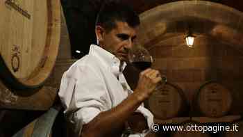 Camera di Commercio Avellino-Benevento: stop liti, ma siamo alla resa dei conti - Ottopagine