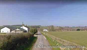 Rimington: Doggy day care centre given the go-ahead