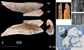 Was Stone Age man a CANNIBAL? Pendants carved from human BONE are discovered in Russia