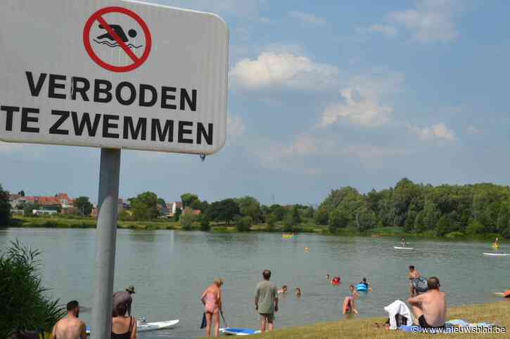 Medewerkers surfclub redden meisje van zes nipt uit het water: vraagt naleving zwemverbod in Donkvijver extra maatregelen?