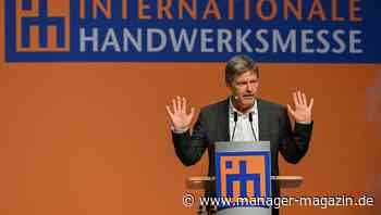 Erdgas: Robert Habeck will Gaspreise nicht deckeln