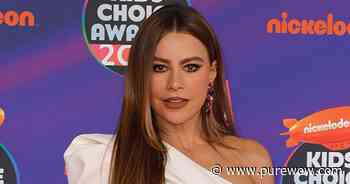 This Sofía Vergara Action Flick Is the #4 Movie on Netflix—& It Looks *Intense* - PureWow