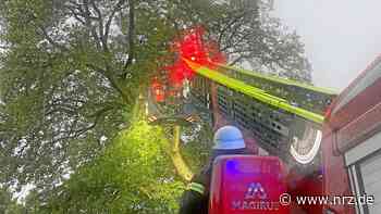 Unwetter in Goch: Baum drohte auf eine Scheune zu stürzen - NRZ News