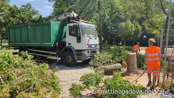 Maltempo a Padova, cento richieste di intervento ai vigili del fuoco - Il Mattino di Padova