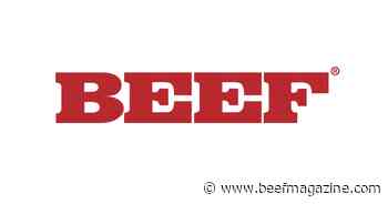 Determining beef value through grading