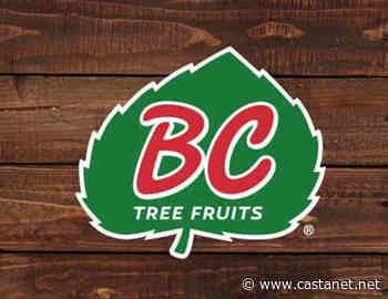 BC Tree Fruits offers apple price guarantee for first time ever - Kelowna News - Castanet.net