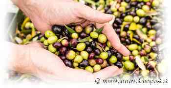 Cibus Tec Forum, a Parma il 25 e il 26 ottobre il primo forum mondiale sui trend futuri delle tecnologie alimentari - Innovation Post