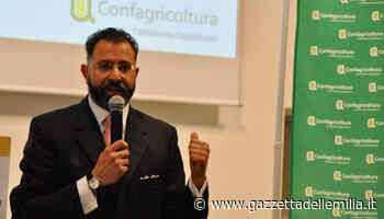 Crisi idrica. Marini (Confagricoltura Parma): “Bene lo stato di emergenza." In evidenza - Gazzetta dell'Emilia & Dintorni