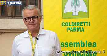 Coldiretti, Luca Cotti alla guida della Federazione di Parma - Video - Gazzetta di Parma