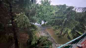Tromba d'aria a Parma e provincia, tetti scoperchiati e alberi caduti: un centinaio di interventi dei vigili del fuoco - ParmaToday