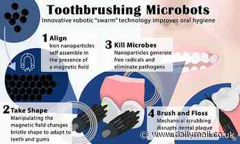 Swarm of shapeshifting microrobots can brush, rinse and floss your teeth