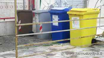 Una vittoria importante, netturbino spunta in Appello il "cambio di contratto" - Termoli Online