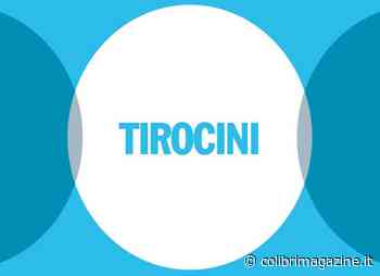 Autorità Urbana di Campobasso, nuovo bando per giovani disoccupati - Il Colibrì